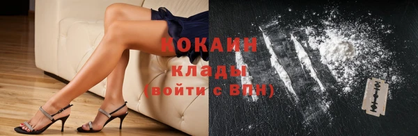 стафф Медногорск