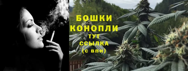 стафф Медногорск