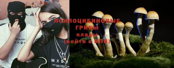 а пвп мука Мегион