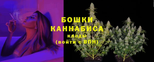 стафф Медногорск